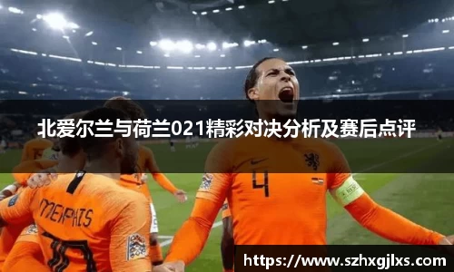 北爱尔兰与荷兰021精彩对决分析及赛后点评