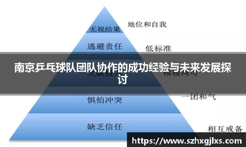 南京乒乓球队团队协作的成功经验与未来发展探讨